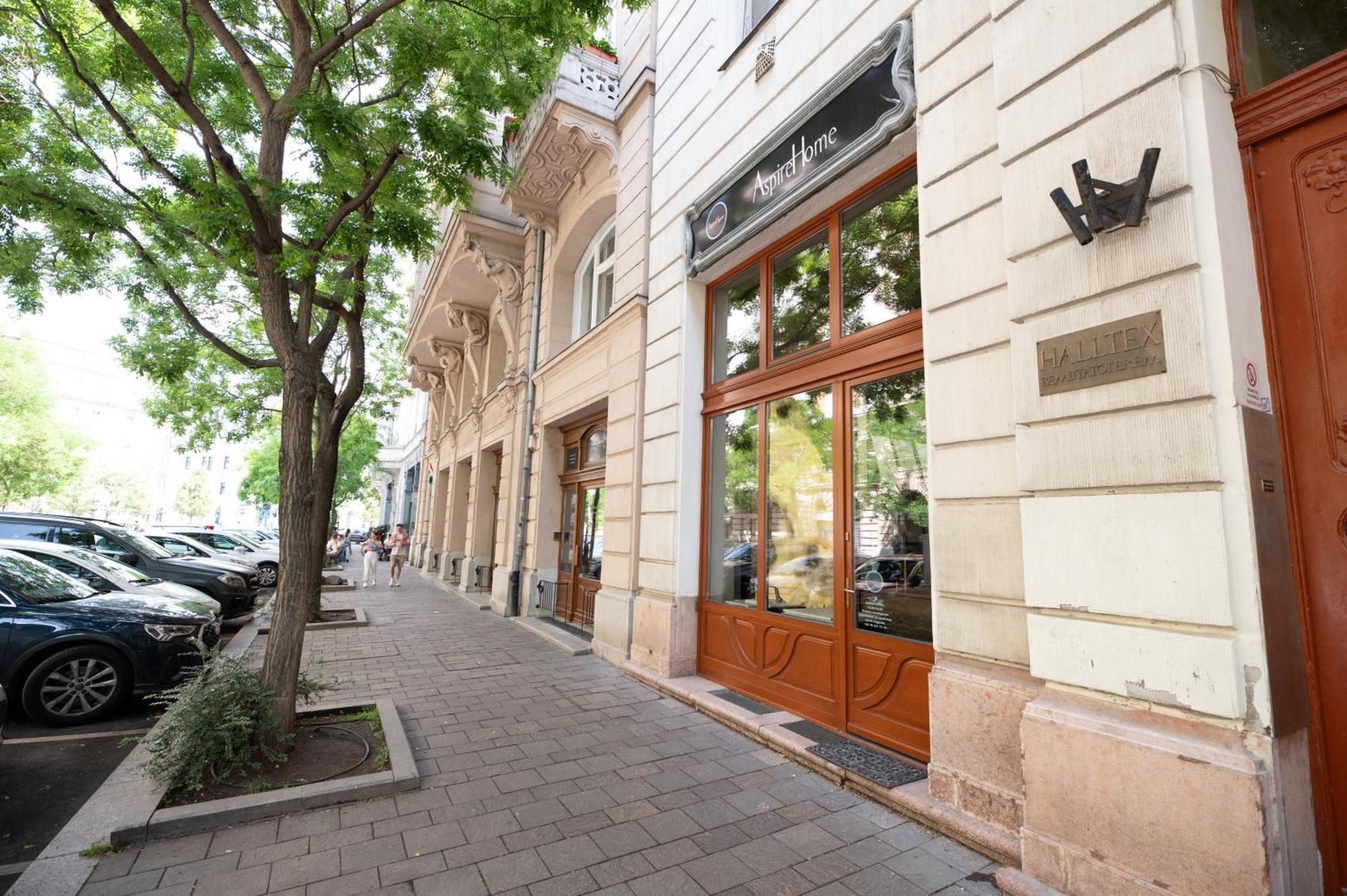 Danube Dwelling Aulich Utca 3 Apartament